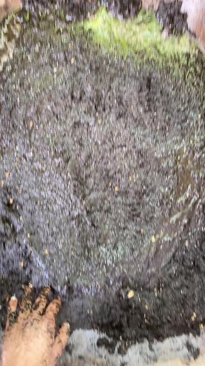 rickyjohn (@rickyjohn)’s videos with original sound - rickyjohn