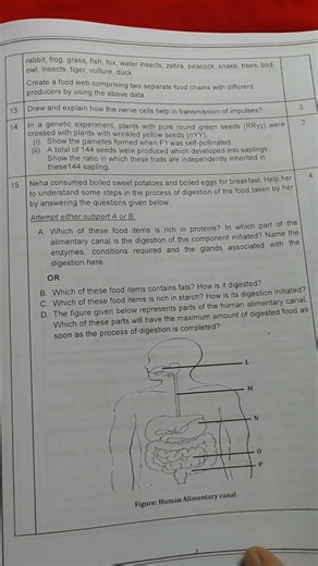 Class10 Science Sample Papers (2025-26) with Answers l cbse l