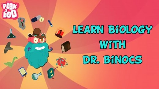 Learn Biology With Dr. Binocs | Compilation