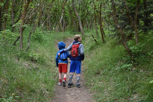 Family-Friendly Spring Hikes: Here are 5 of the best trails to try this season