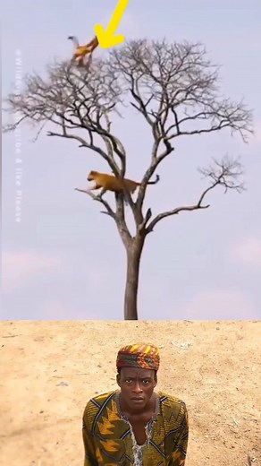 🤣🤣🤣 #SACHINSAHEL #comedian #foryou | Isma'il Saleh