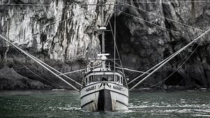 Port Protection: Season 1 Episode 2 The Axeman Cometh