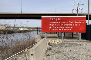 With new invasive carp money, the Great Lakes learns from past invasions | Great Lakes Now