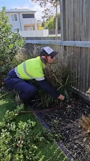 4.7K views · 287 reactions | Trimming up this front yard and making...