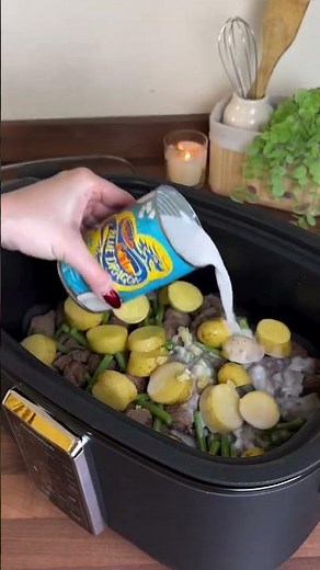 Slow cooker recipe | Slow Cooked Beef Massaman Curry #morphyrichards #loveyourmorphy #slowcooker