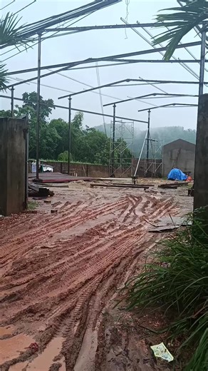 Đá cuội...1507 trên TikTok