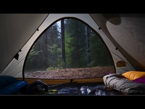 Rain on Tent (10 Hours) — Deep Sleep, Relaxation & Nature Sounds | No Ads