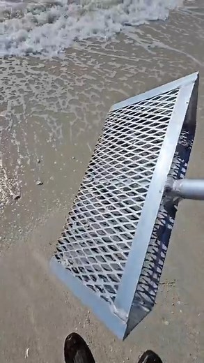 4.7K views · 79 reactions | Ever rake seashells?? #florida #adventure #explore | Beach Bummin Dad | Facebook