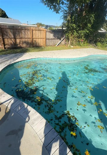 That was easy 😝😝😝 #poolcare #poolcaretips #pooltransformation #swimmingpool #poolmaintenance