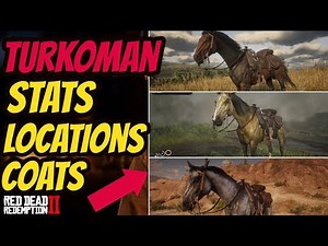 Red Dead Redemption 2 TurkoMan HORSE LOCATION & ALL COATS & STATS GOOD HORSE GUIDE