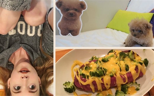 【Taylor R】Rosie和纸板Rosie