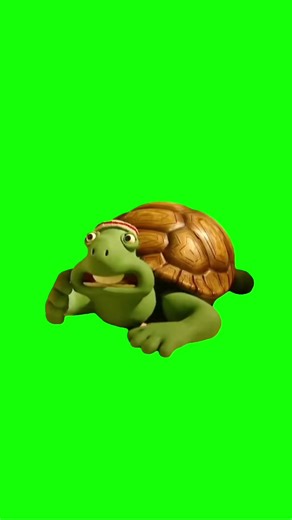 Green Screen Turtle