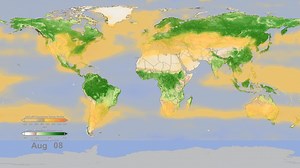 7.2K views · 42 reactions | Watch The Earth Breathe More about the video: https://brilliantmaps.com/watch-the-earth-breathe/ | Brilliant Maps | Facebook