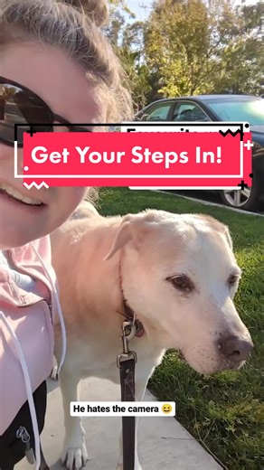 Favourite ways to get my daily steps in ✨ . #SeeHerGreatness #plussizeexercise #walk #dailysteps