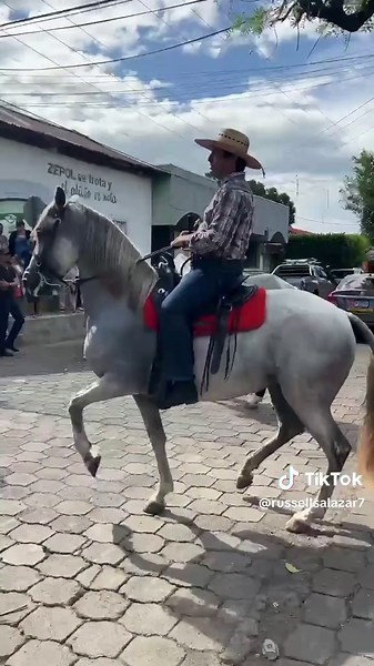 Russell Miguel Salazar on TikTok