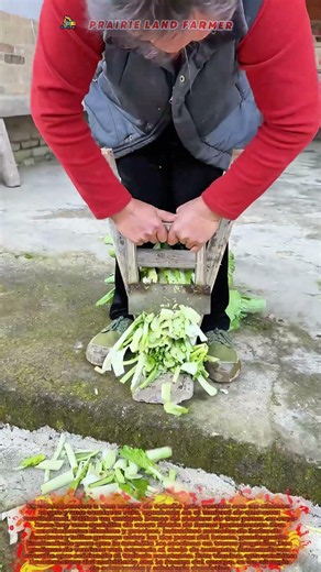 🥬 El banco que corta: El ingenio de la cocina rural