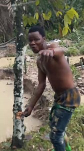 238K views · 2.5K reactions | Asem B3n Koraa Niee ( Massive cocoa farm turn to g.alamsey site due to fall out in cocoa prices) #ViralVideo #fypシ #trending #smilefreetv #trendingreels | Smile Free Tv | Facebook