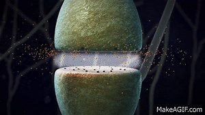 Chemical Synapse Animation on Make a GIF