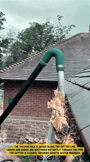Gutter vacuum system with long pole for efficient and safe debris removal