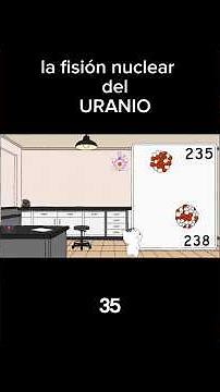 URANIUM nuclear fission