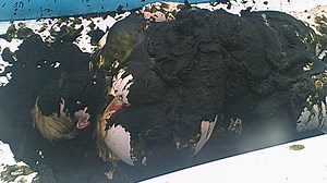 bound__buried_alive_fullvideo.mp4