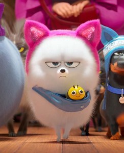17K views · 704 reactions | Here comes #TheSecretLifeOfPets2 – in theaters Friday. Get your tickets now: fandango.com/pets2 | The Secret Life Of Pets | Facebook