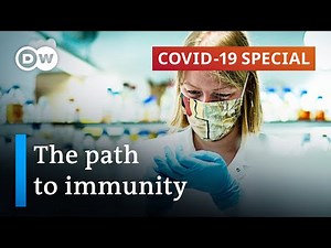 Coronavirus immunity: Did Sweden's model fail? | COVID-19 Special