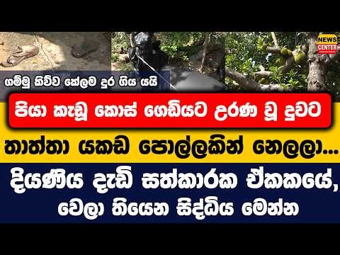 පියා කැඩූ කොස් ගෙඩියට උරණ වූ දුවට තාත්තා යකඩ පොල්ලකින් නෙලලා... දියණිය දැඩි සත්කාරක ඒකකයේ