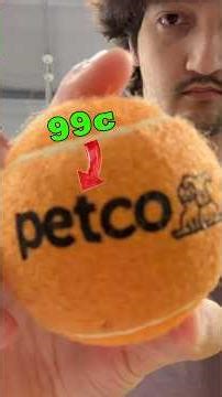 I Tested Cheap Vs. Expensive Dog Toys