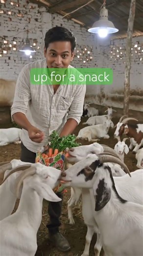 #funny #hindi #goat