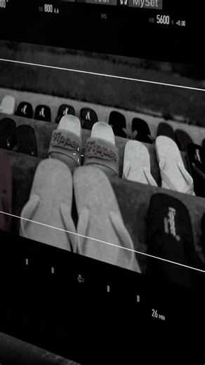 Something Big is Coming: Discover Fipper Slippers