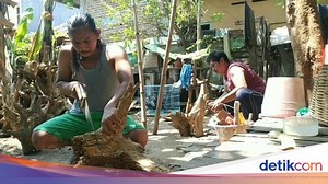 Fungsi Akar dan Strukturnya pada Tumbuhan