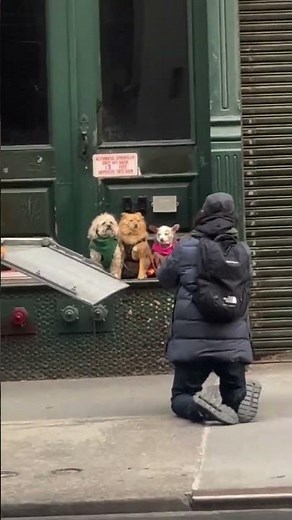 These puppies have gone viral thanks to the incredible photos taken of them.