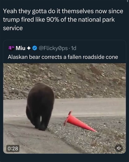 Climate Power on Reels