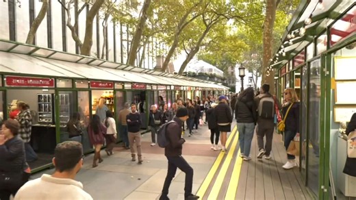 Travel blogger shares top spots for New York holiday fun