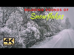 4K Sound of Snowflakes on the Umbrella | Shooting Noise of Snow for Relaxation and fall asleep