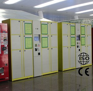 [Hot Item] DBS Intelligent Parcel Smart Delivery Locker Station (DBS)