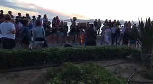 84K views · 1.1K reactions | „Mama Lauda“ unplugged im Sonnenuntergang P.S. Der unbekannte Sänger soll sich mal bitte dringend bei Almklausi melden. Kontakt gerne über uns. By: Bernd Weigel | BILD Mallorca | Facebook