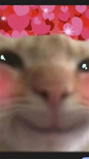 How to subscribe tutorial