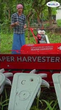 REAPER MACHINE | ஒவ்வொரு தானியத்தையும் கவனமாக அறுக்கும் விவசாயின் தோழன் ரீப்பர் மெஷின் #theagriworld