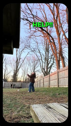 Her Cat Was About To Fall From This Tree