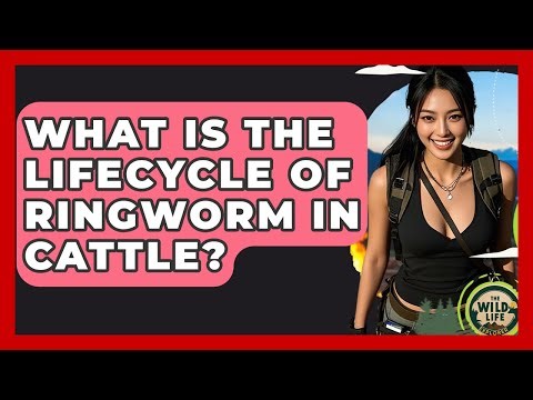 What Is The Lifecycle Of Ringworm In Cattle? - The Wild Life Explorer
