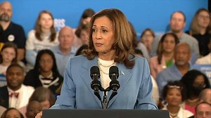 Analyzing Harris’ plan to end price gouging and create tax credits for families