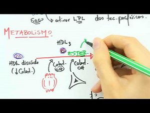 METABOLISMO DO HDL