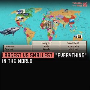 3.9M views · 19K reactions | What’s the largest vs smallest of “everything” in the world? In this animation, we mapped out cities, mountains, temperatures, books, coins, and more fascinating extremes you won’t believe exist! | The Brain Maze | Facebook
