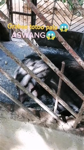 Aswang!!! #2022 #aswang #scary #fyp #foryourpage