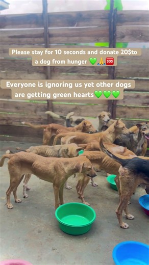 💚💚💚💚💚💚💚💚💚💚💚💚