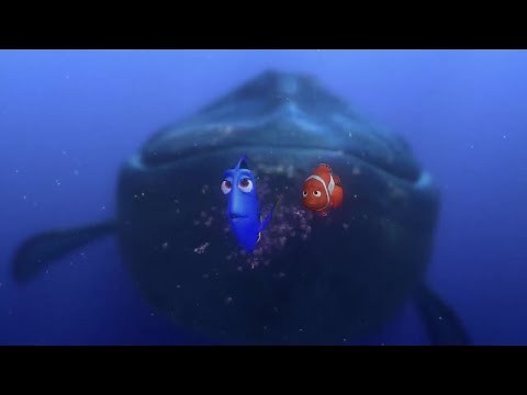 Dory talking whale scene (Finding Nemo 2003)