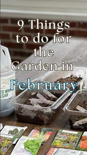 9 things to do in February