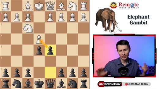 New Video Out! RARE & Highest Win Rate Opening for Black After 1.e4 e5! The Elephant Gambit is a rare and aggressive chess opening that arises after the moves: 1.e4 e5 2.Nf3 d5. It is also known by other names such as the Queen's Pawn Countergambit, Englund Counterattack, or Turkish Gambit. Discover the proven system that helped GM Igor Smirnov achieve Grandmaster status at just 20 years old. Free training is available here: https://chess-teacher.net/masterclassfb #chess #chesslessons | Remote C